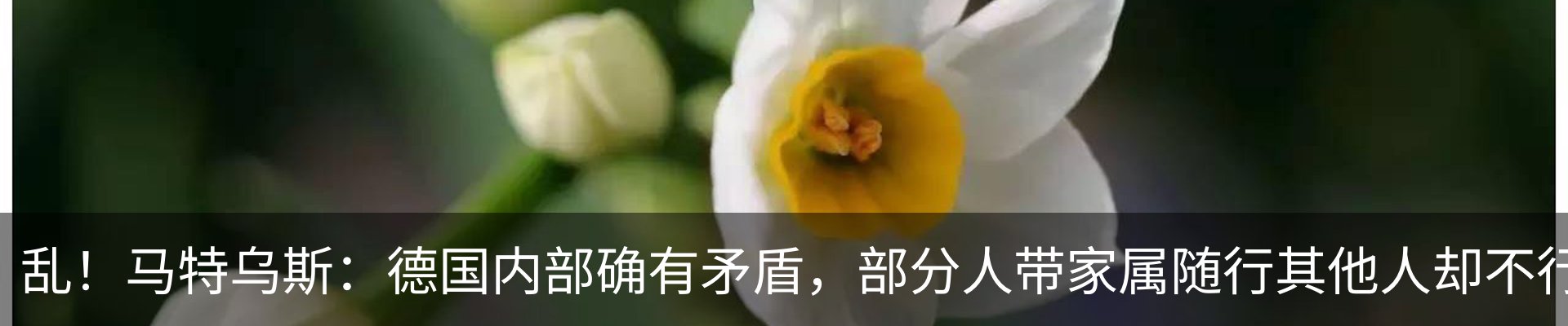 新闻中心