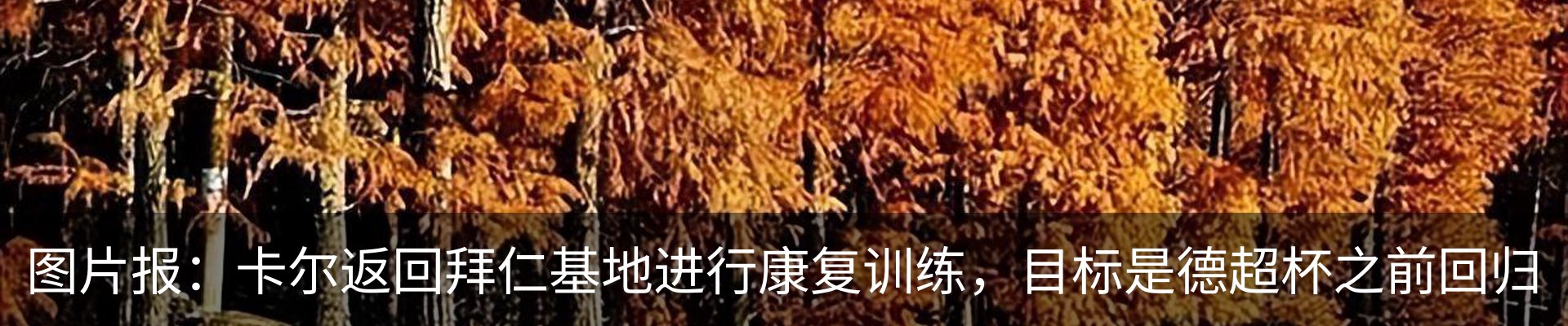 新闻中心