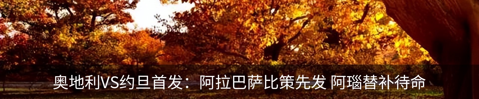 新闻中心
